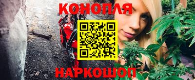 mdpv Кингисепп