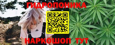 mdpv Кингисепп